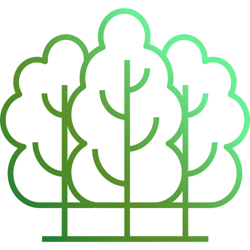 Number of plants per linear meter